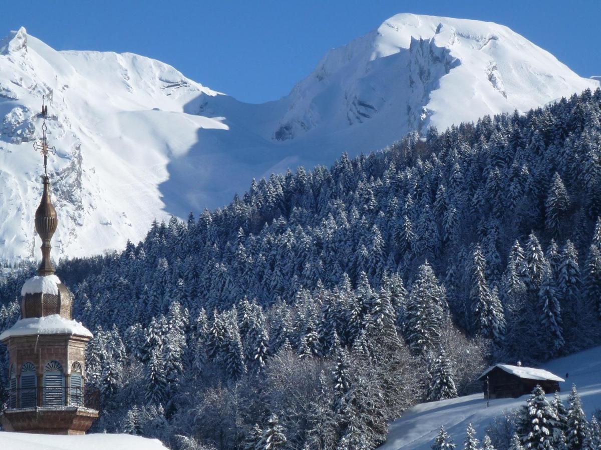 "Chalet Les Aravis" Chalet Et Appartements Le Grand-Bornand Exterior photo