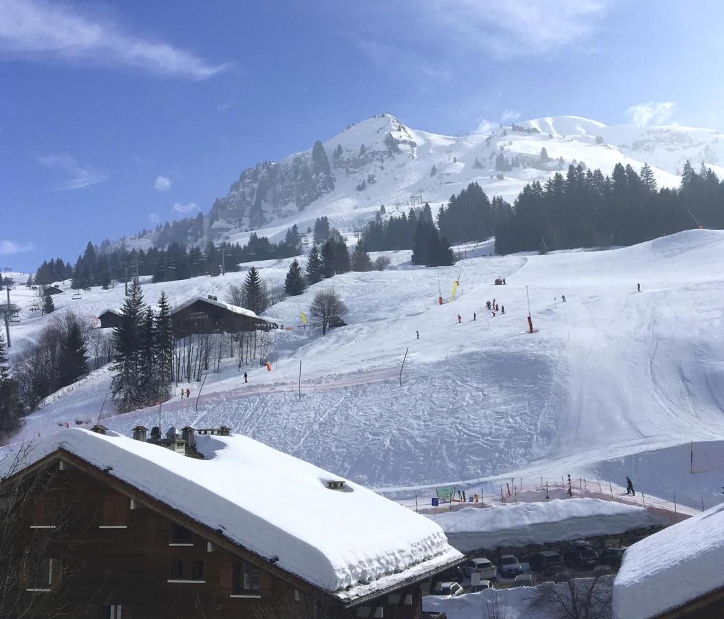 "Chalet Les Aravis" Chalet Et Appartements Le Grand-Bornand Exterior photo